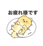名前入りポメラニアンクリーム（個別スタンプ：22）