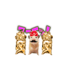 Moving HamPacino（うごくハムパチーノ）（個別スタンプ：2）