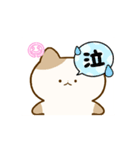 フリースタイル猫（個別スタンプ：14）