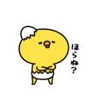 まいにちひよっこ勝ち気（個別スタンプ：3）