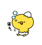 まいにちひよっこ勝ち気（個別スタンプ：7）