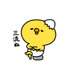 まいにちひよっこ勝ち気（個別スタンプ：11）