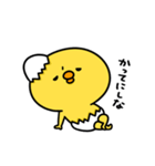 まいにちひよっこ勝ち気（個別スタンプ：25）