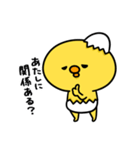 まいにちひよっこ勝ち気（個別スタンプ：31）