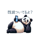 毎日使えるパンダ②【かわいい・連絡用】（個別スタンプ：7）