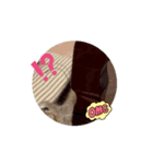 うちのnekoシリーズ7（個別スタンプ：2）