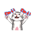 猫の日常会話フレーズ（個別スタンプ：2）