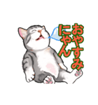 猫の日常会話フレーズ（個別スタンプ：4）