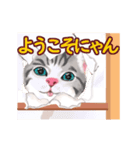 猫の日常会話フレーズ（個別スタンプ：5）