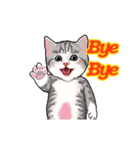 猫の日常会話フレーズ（個別スタンプ：6）