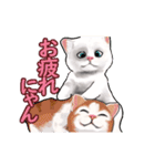 猫の日常会話フレーズ（個別スタンプ：8）