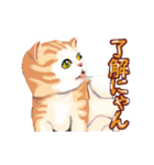 猫の日常会話フレーズ（個別スタンプ：11）