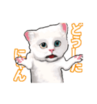 猫の日常会話フレーズ（個別スタンプ：12）