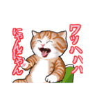 猫の日常会話フレーズ（個別スタンプ：13）
