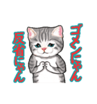 猫の日常会話フレーズ（個別スタンプ：14）