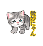 猫の日常会話フレーズ（個別スタンプ：15）