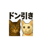 可愛い猫やチワワのスタンプ（個別スタンプ：5）