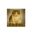 可愛い猫やチワワのスタンプ（個別スタンプ：7）