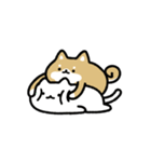動く！仲良しなネコとイヌ（個別スタンプ：9）