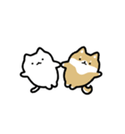 動く！仲良しなネコとイヌ（個別スタンプ：12）
