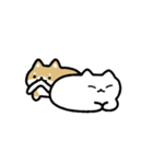 動く！仲良しなネコとイヌ（個別スタンプ：13）