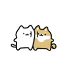 動く！仲良しなネコとイヌ（個別スタンプ：21）