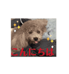 動く！激かわいいクリシェ2025.08（個別スタンプ：2）