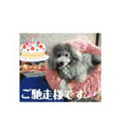 動く！激かわいいクリシェ2025.08（個別スタンプ：6）