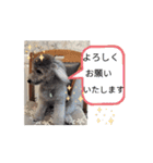 動く！激かわいいクリシェ2025.08（個別スタンプ：8）