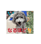 動く！激かわいいクリシェ2025.08（個別スタンプ：10）