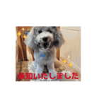 動く！激かわいいクリシェ2025.08（個別スタンプ：13）