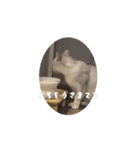 なつのオモシロすたんぷ①（個別スタンプ：2）