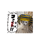 なつのオモシロすたんぷ①（個別スタンプ：15）