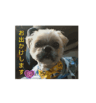 レオンとキアヌの日常（個別スタンプ：4）