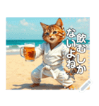 押忍！空手家お酒ネコ師範♡夏稽古（個別スタンプ：4）