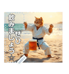 押忍！空手家お酒ネコ師範♡夏稽古（個別スタンプ：11）