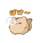 だいふくあにまるず みかん 推し色橙！（個別スタンプ：26）