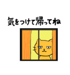 第3弾のんびりネコのずっと使えるスタンプ（個別スタンプ：19）
