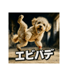 ブレイクダンス犬（個別スタンプ：1）