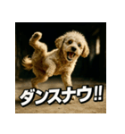 ブレイクダンス犬（個別スタンプ：2）
