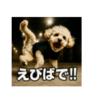 ブレイクダンス犬（個別スタンプ：3）