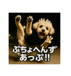 ブレイクダンス犬（個別スタンプ：4）