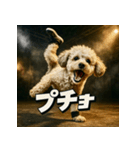 ブレイクダンス犬（個別スタンプ：5）