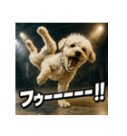 ブレイクダンス犬（個別スタンプ：14）