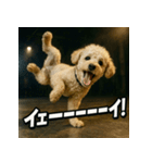 ブレイクダンス犬（個別スタンプ：15）