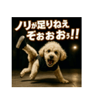 ブレイクダンス犬（個別スタンプ：17）