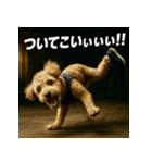 ブレイクダンス犬（個別スタンプ：19）