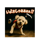 ブレイクダンス犬（個別スタンプ：21）