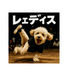 ブレイクダンス犬（個別スタンプ：23）