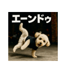 ブレイクダンス犬（個別スタンプ：24）